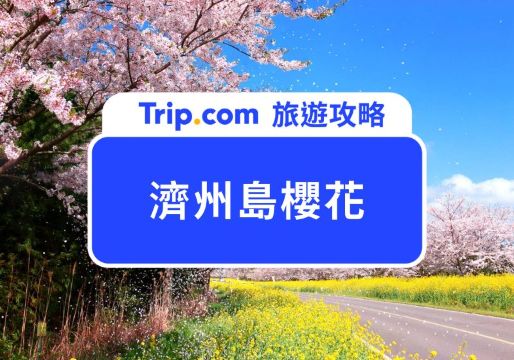 2026 濟州島櫻花即時追蹤！追韓國櫻前線必去這 9 個濟州島賞櫻景點 | Trip.com