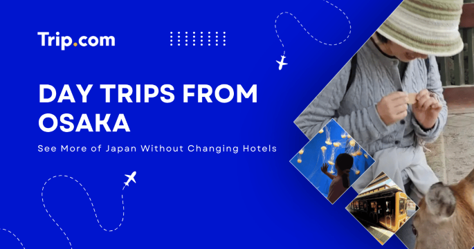 Day Trips From Osaka: Train Routes & Itineraries | Trip.com