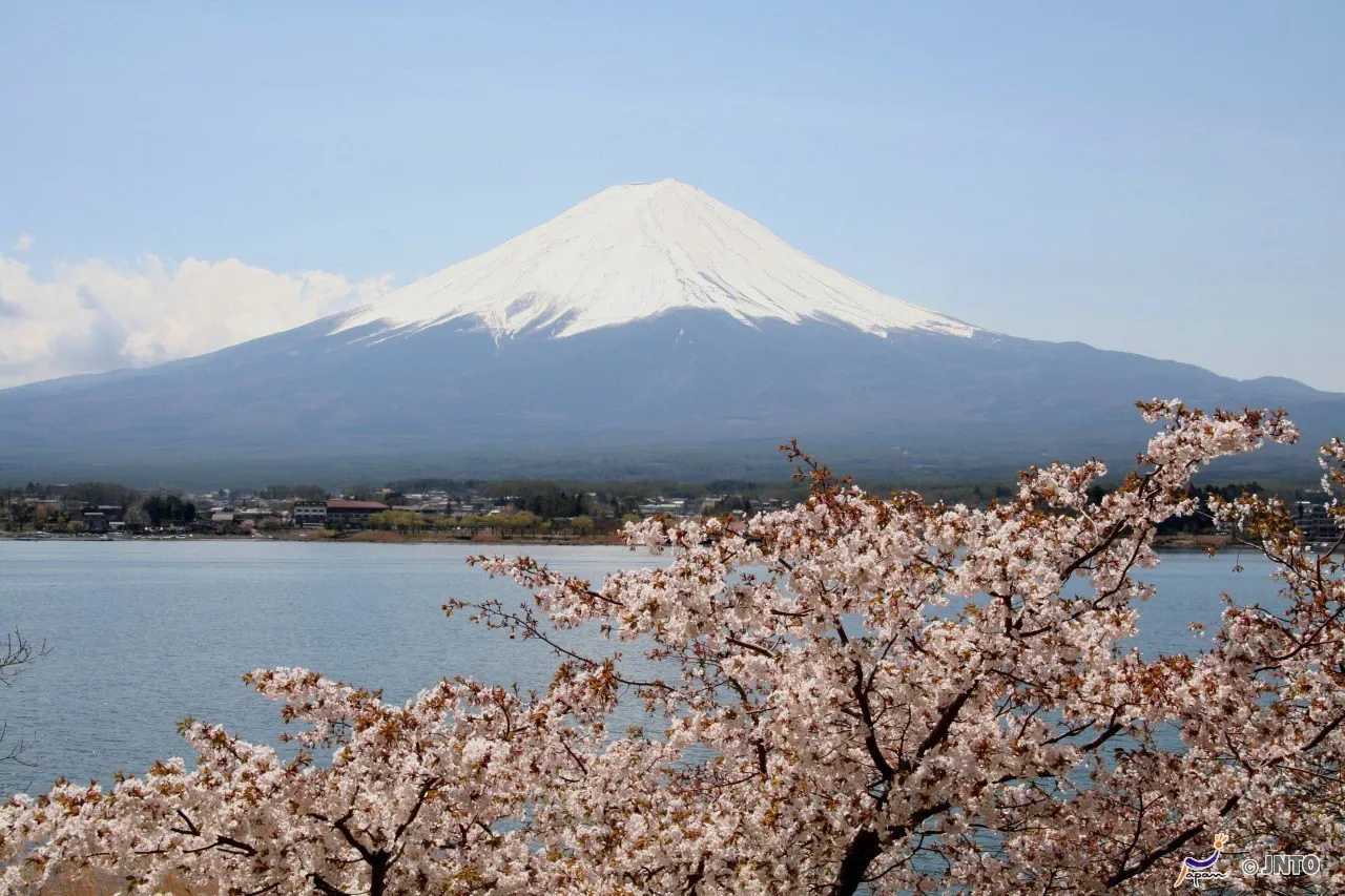 新倉山淺間公園