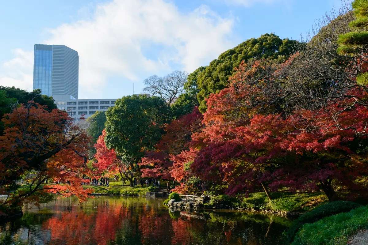 小石川後樂園