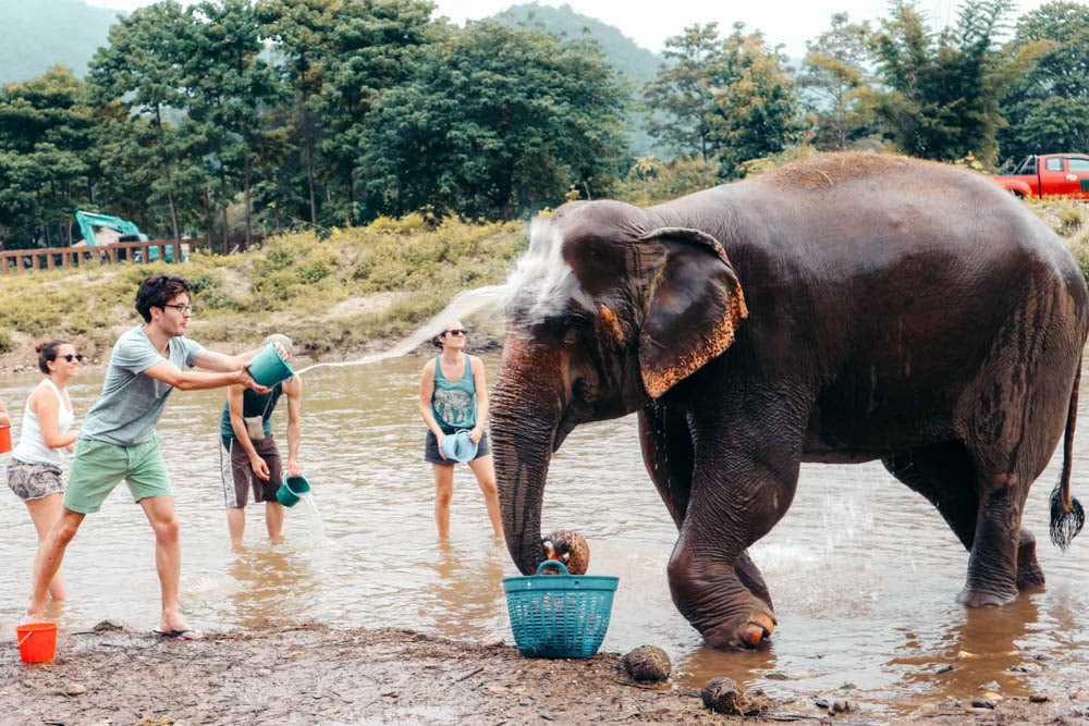 태국 가족여행, 코끼리 보호 캠프