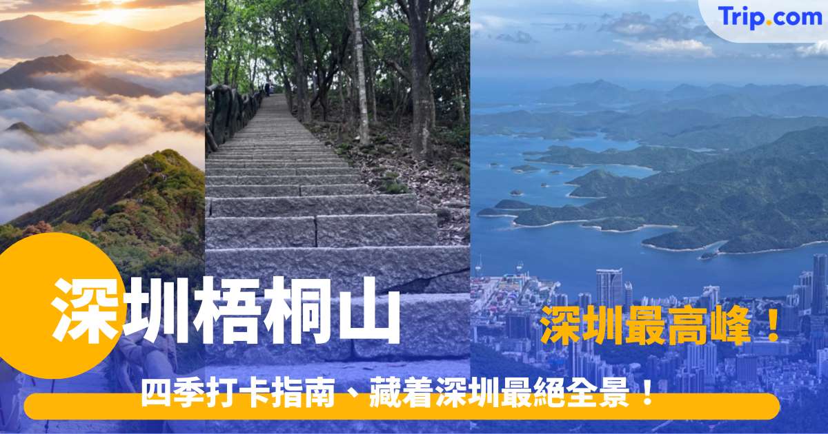 深圳梧桐山 2026 深圳最高峰！四季打卡指南、藏着深圳最絕全景！6 個登山入口一一介紹！ | Trip.com