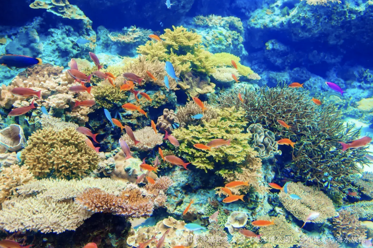 沖繩景點