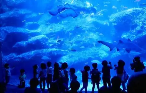 墨田水族館