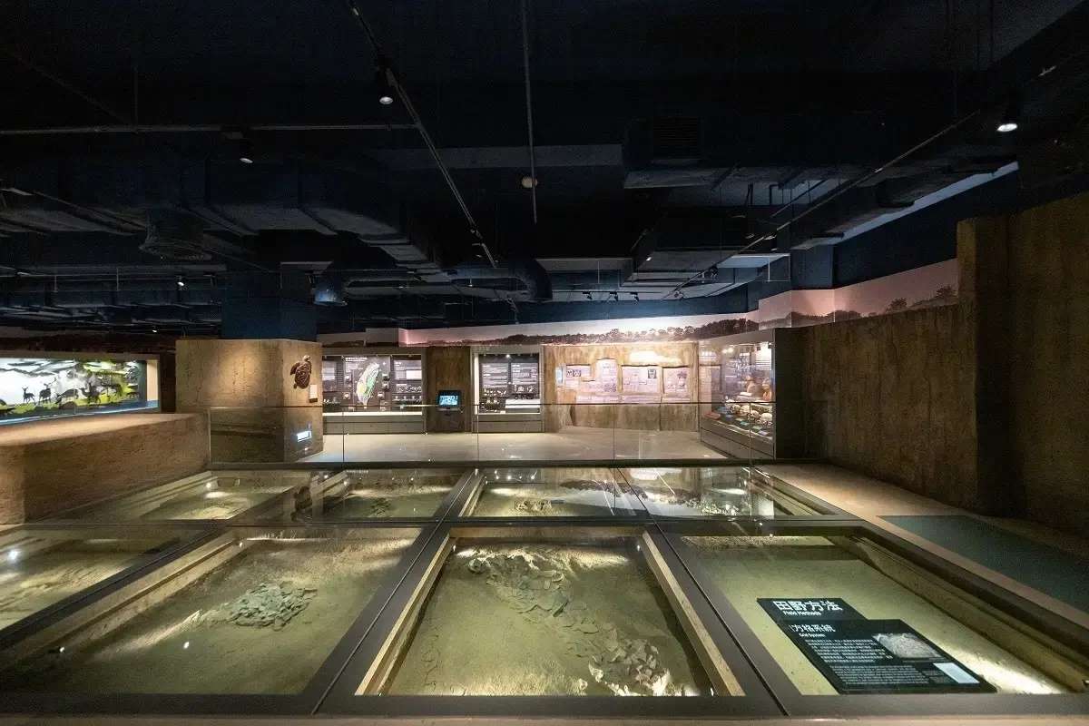 史前文化博物館南科分館