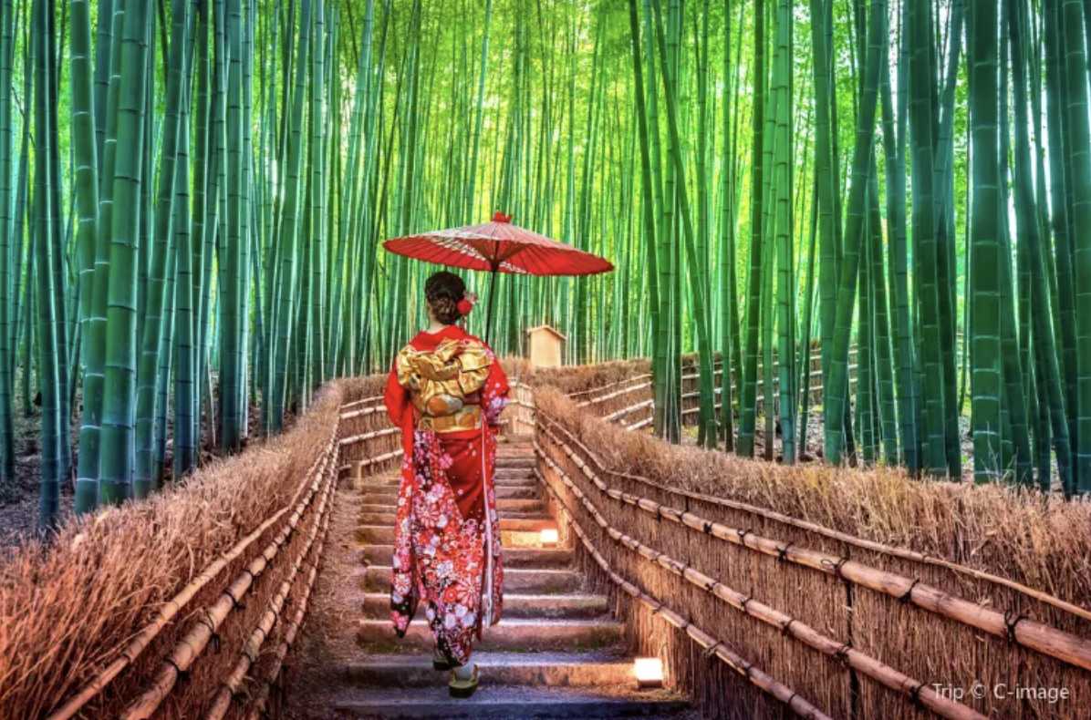 교토 날씨 추천