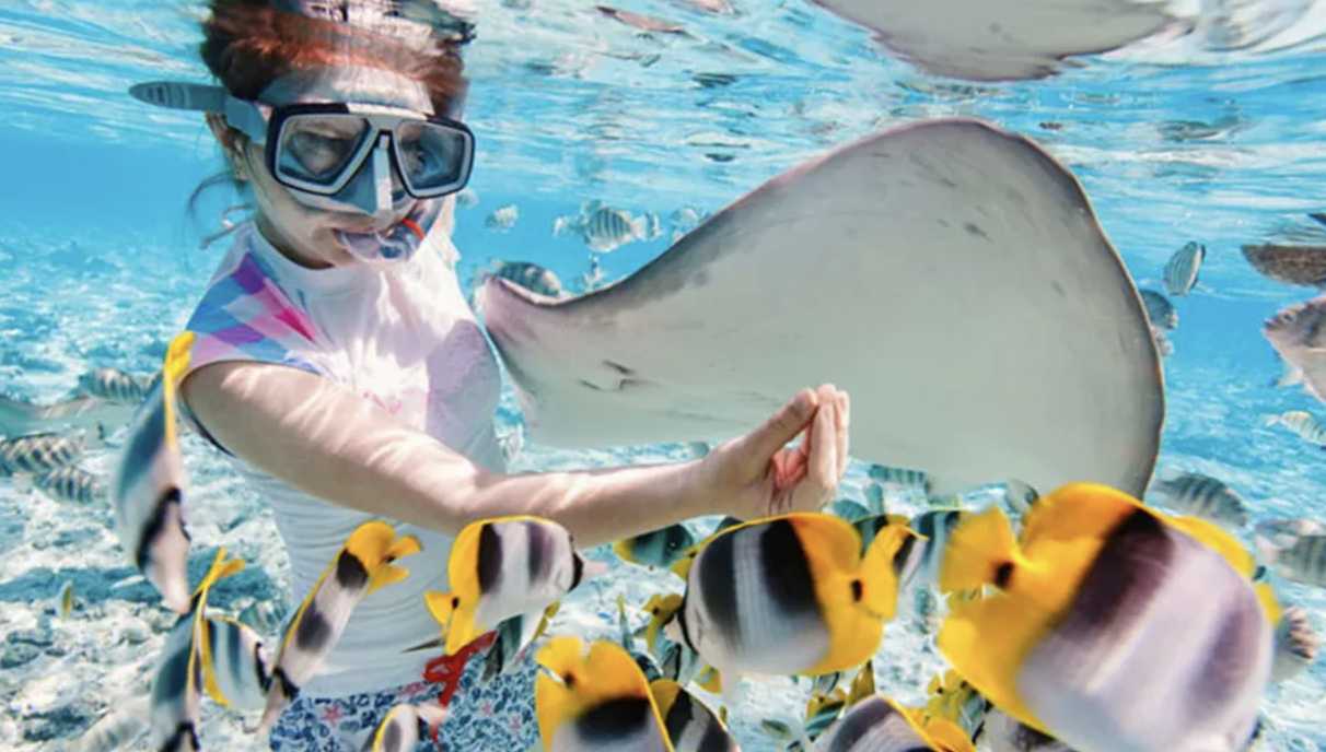 발리 해변 스노클링