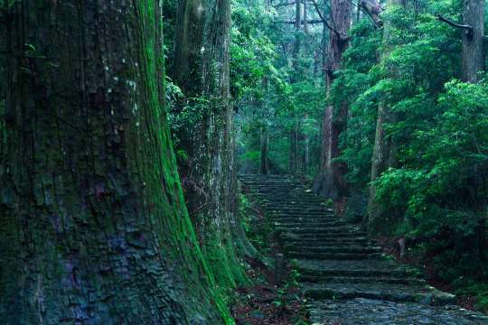 Wakayama Transportation | Kumano Kodo