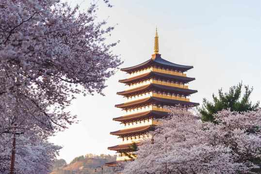 당일 여행 추천, 경주