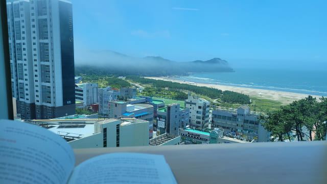 북캉스, 부산 