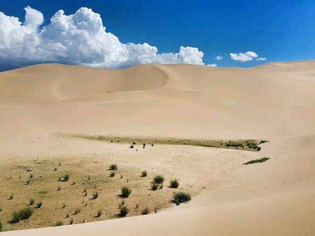 13 ที่เที่ยวมองโกเลีย 2569 เที่ยวธรรมชาติสุดอลังการ ดินแดนแห่งท้องฟ้าสีคราม | Trip.com