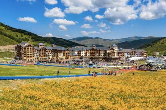 Thaiwoo, Wanlong, or Genting: which should you choose?
