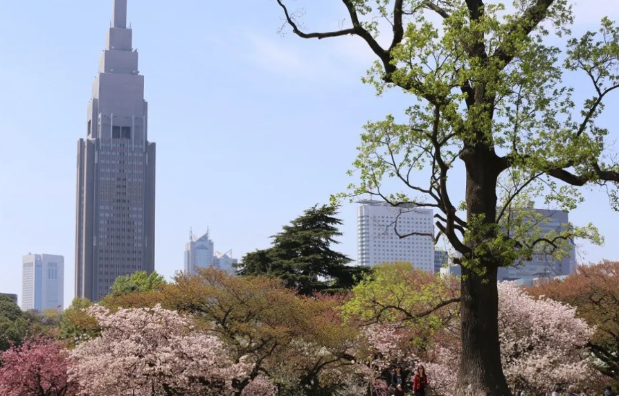 東京好去處_新宿御苑