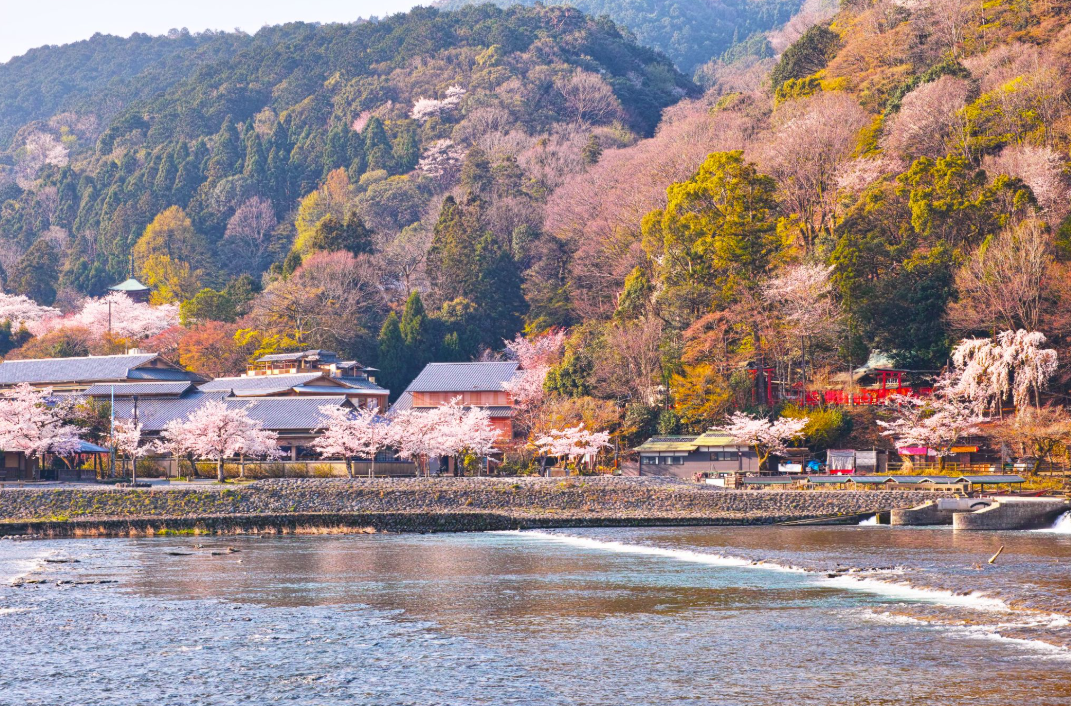 關西賞櫻景點 #1 嵐山|京都