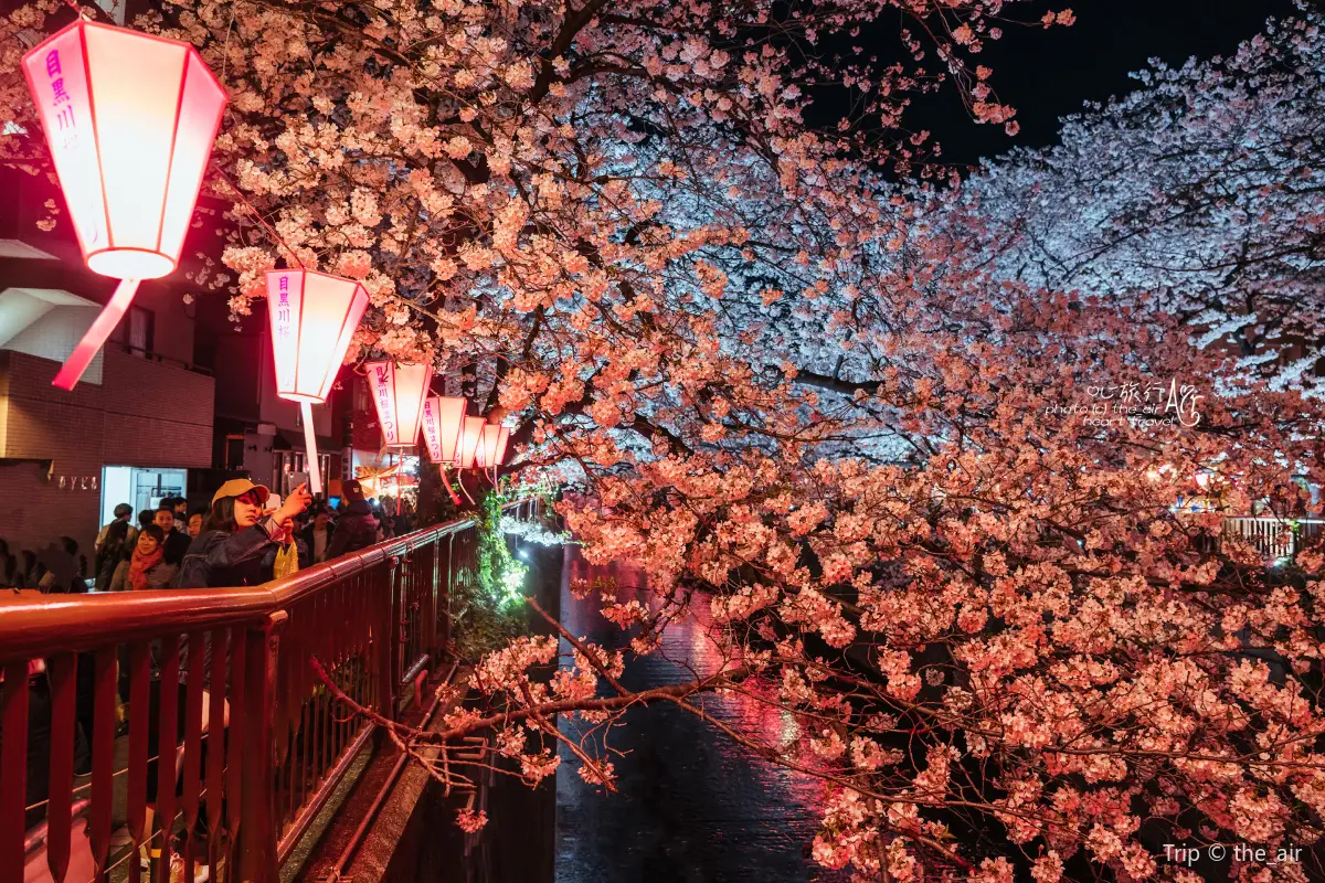 東京和服, 目黑川
