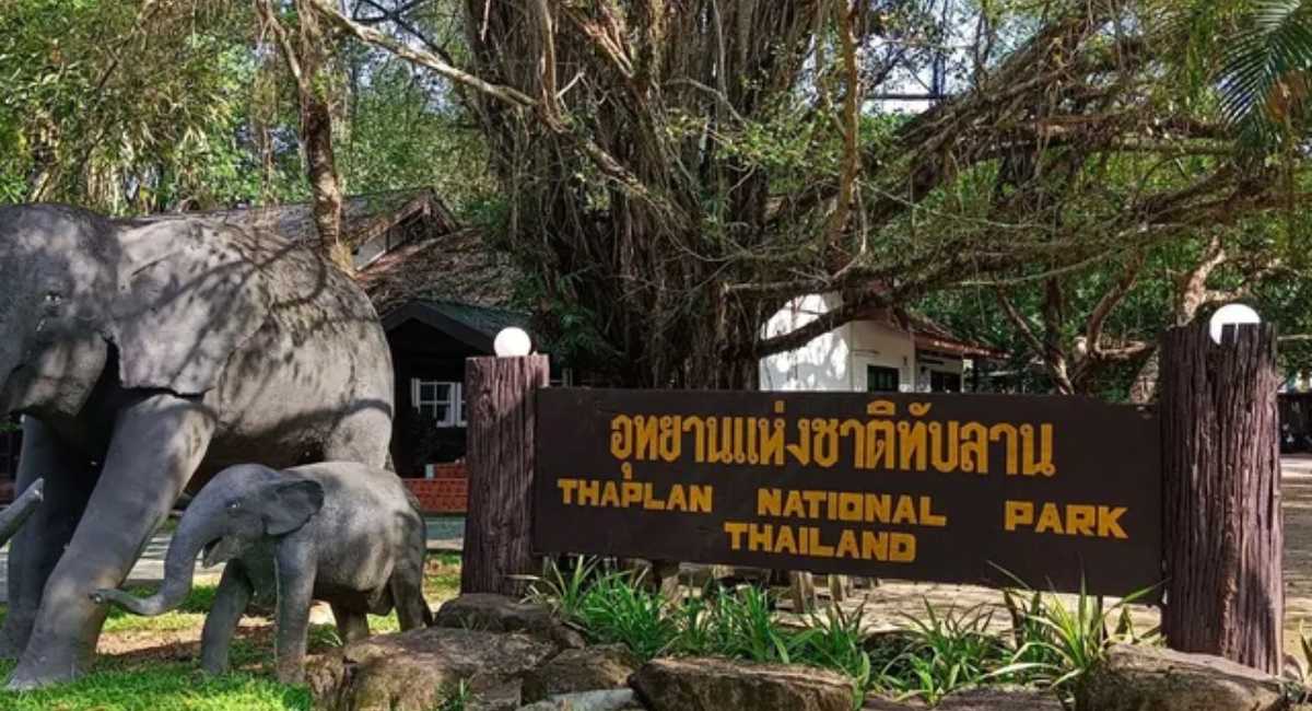 อุทยานแห่งชาติทับลาน - ที่เที่ยววังน้ำเขียว