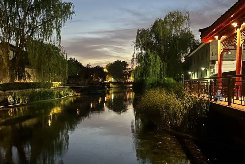 Beijing canal and willow trees illuminated at dusk