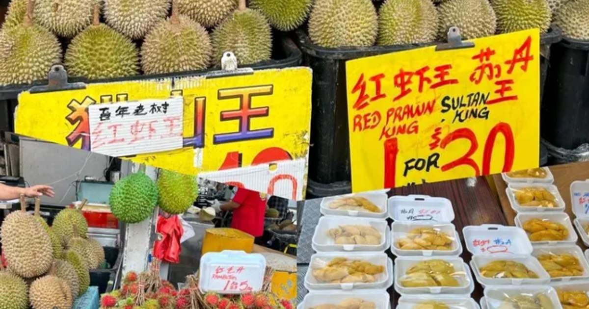 Types of Durian Guide