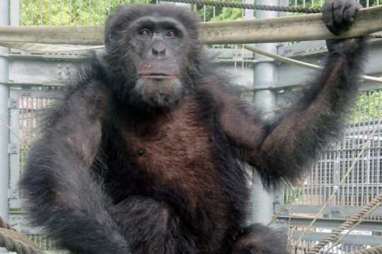 오키나와 어린이나라 동물원