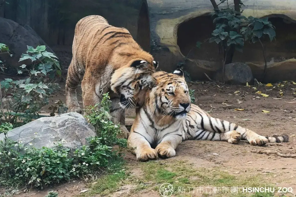 新竹市立動物園