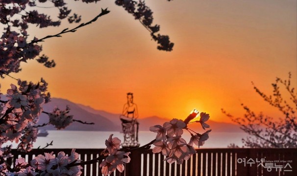 여수 벚꽃 명소, 용월사