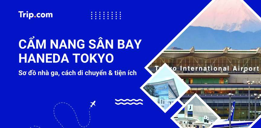 Sân bay Haneda: Nhà ga, cách di chuyển & tiện ích 2026  | Trip.com