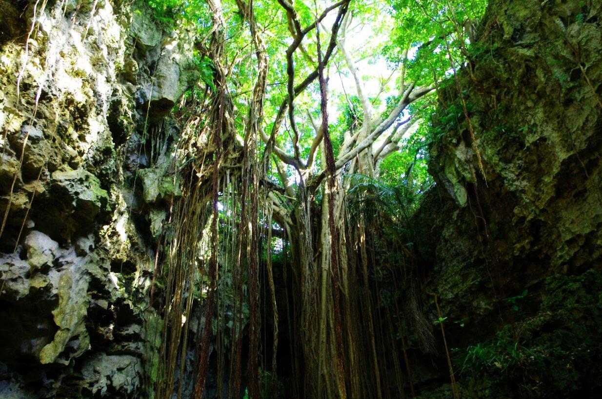 Gangala 山谷