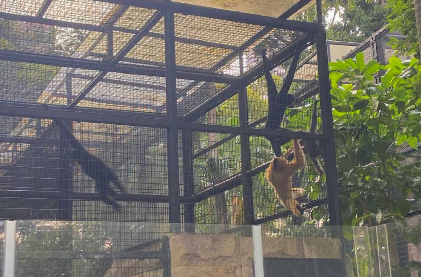 พาลูกเที่ยวฮ่องกง