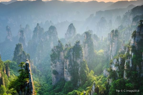 ตะลุยอุทยานแห่งชาติจางเจียเจี้ย