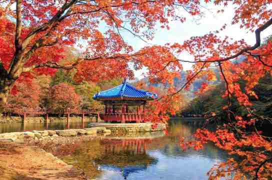 당일 여행 추천, 정읍