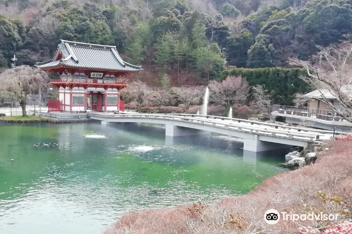 大阪櫻花|勝尾寺
