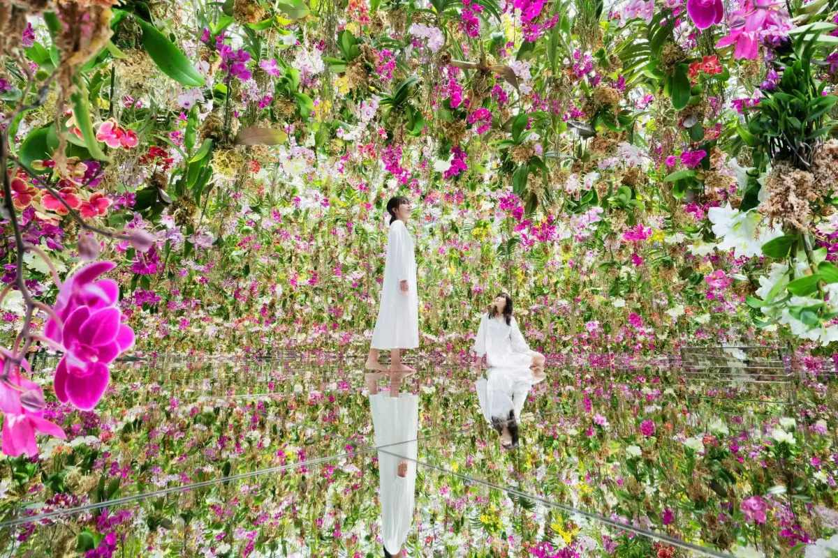 澳門 TeamLab  必看亮點# 1 漂浮的花園