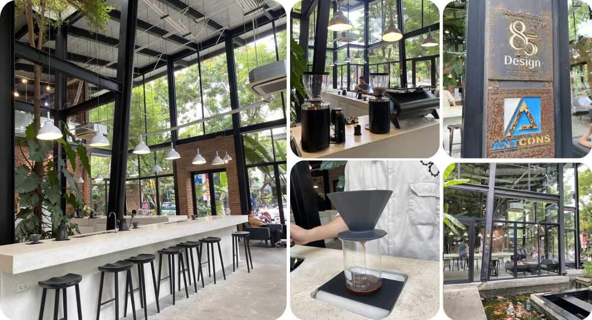 XLIII Specialty Coffee