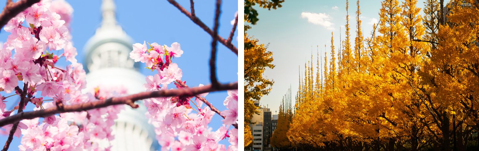 東京好去處_季節