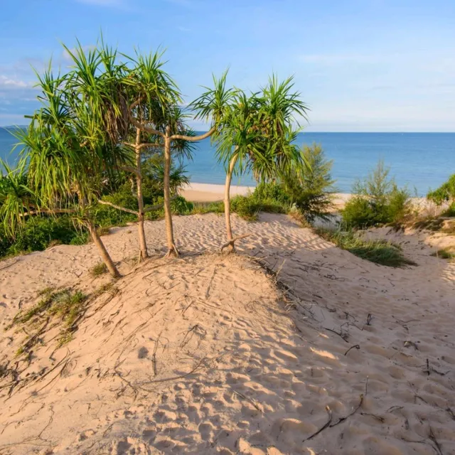 เนินทรายงาม