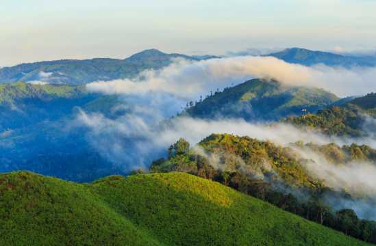 เนินช้างศึก