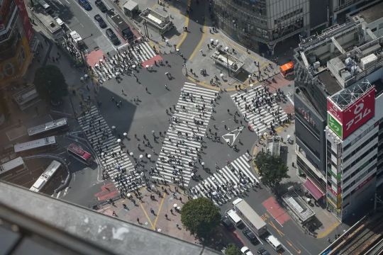 겨울 도쿄 여행 명소 추천 