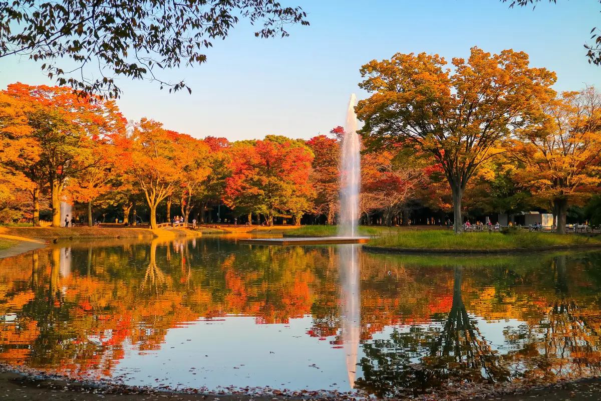 澀谷景點 #11 代代木公園