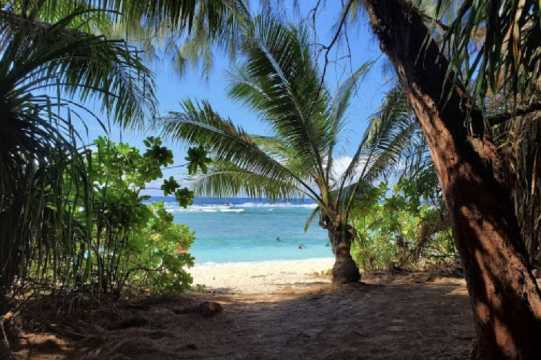 괌 혼자여행 괌 동물 보호구역