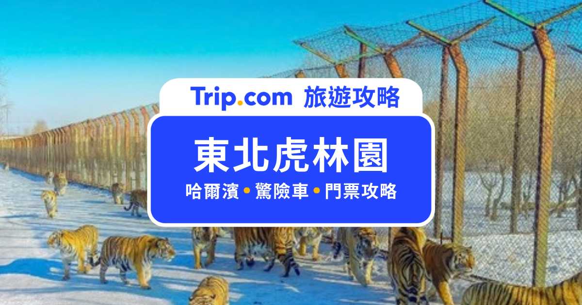 2026 東北虎林園攻略｜搭驚險車隔著車窗看東北虎，門票、交通和最佳時段幫你整理好 | Trip.com