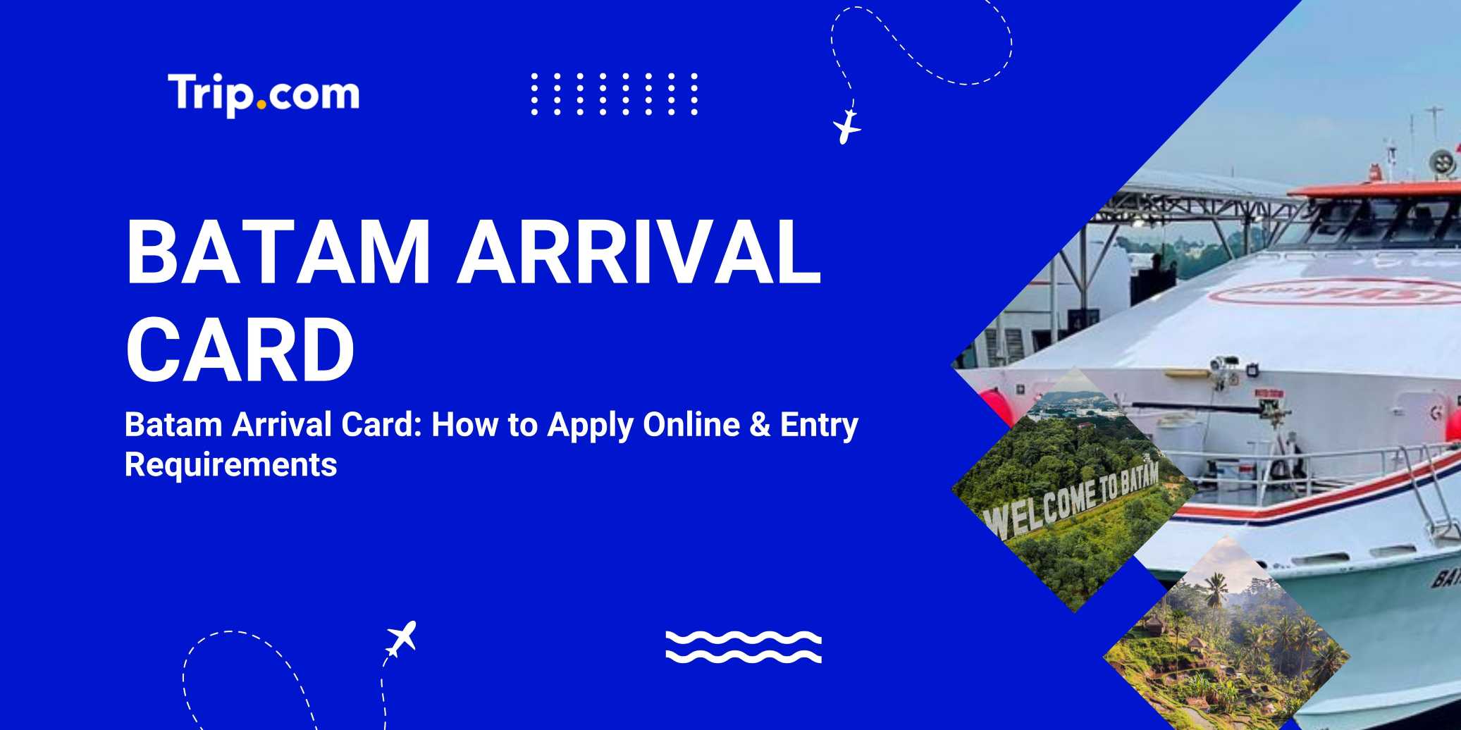 Batam Arrival Card