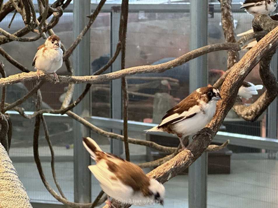 오산버드파크 새