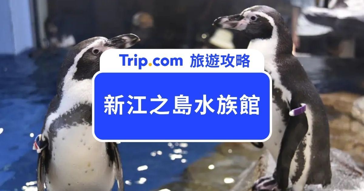 新江之島水族館門票 & 攻略 | Trip.com