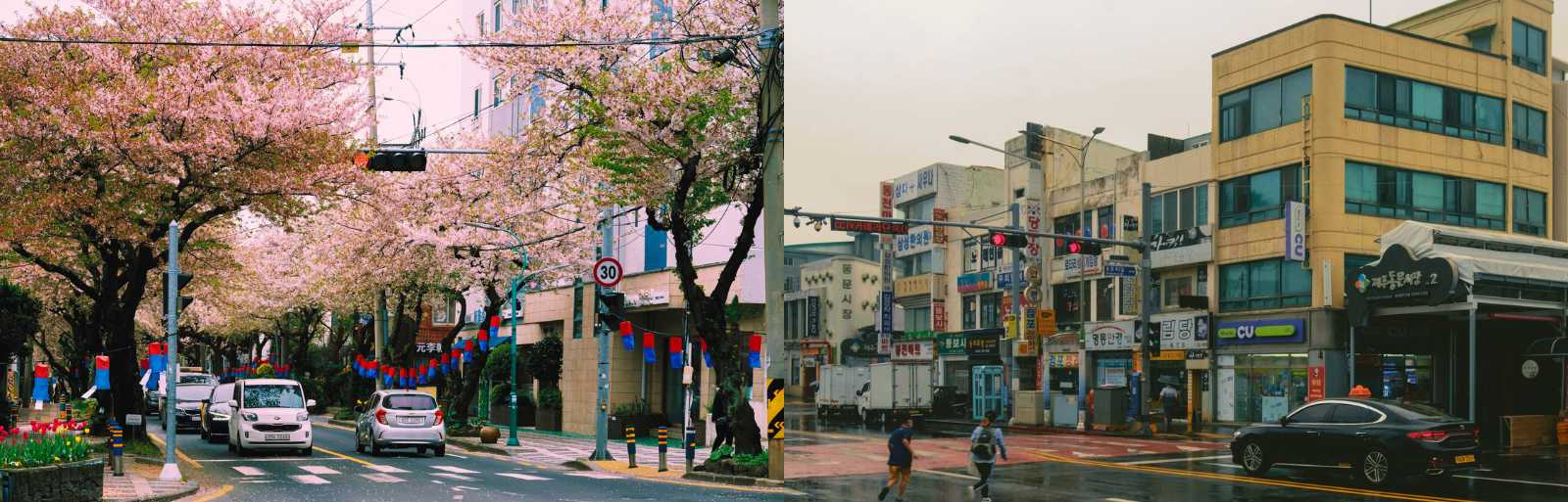 Collage con una avenida de Jeju bordeada por cerezos en flor y una calle comercial en un día lluvioso con tiendas y tráfico