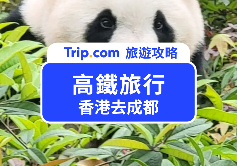 香港去成都高鐵