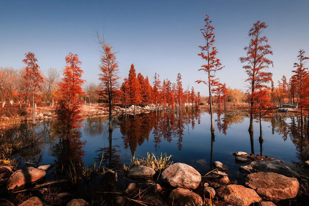 奧萬大森林遊樂區