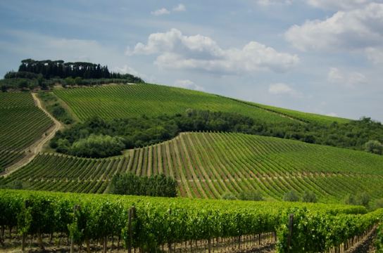 프랑스 보르도 투어