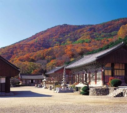 고창 호텔, 선운사 근처