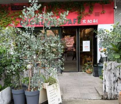 蓮塘咖啡, 尤加利咖啡館