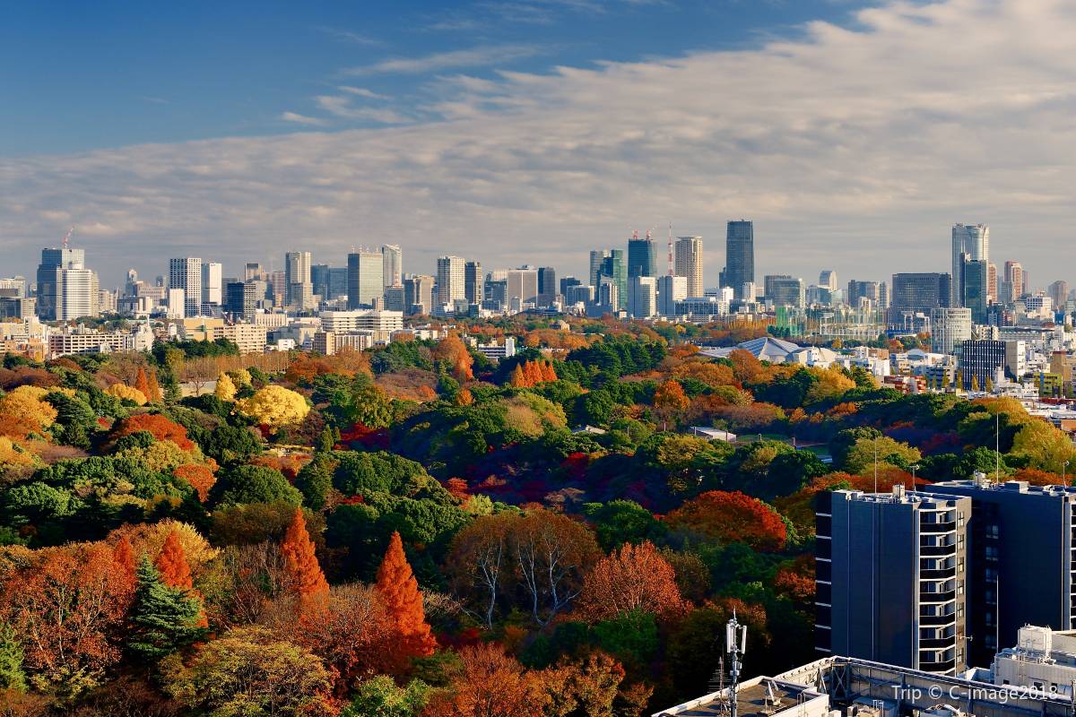 東京地圖 | 東京景點 東京景點 #5 新宿御苑